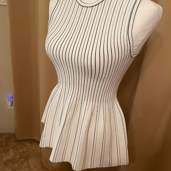 NWT!Theory White and Black Striped Peplum Tank, Top, Knit Size Petite Retail: $2 - Picture 11 of 16